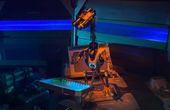Robot Displays a Glimmer of Empathy to a Partner Robot