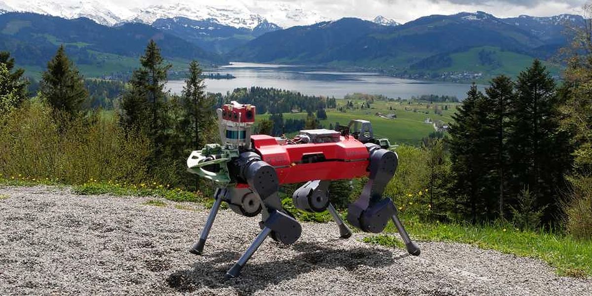 The legged robot ANYmal on the rocky path to the summit of Mount Etzel, which stands 1,098 metres above sea level. (Photo: Takahiro Miki)