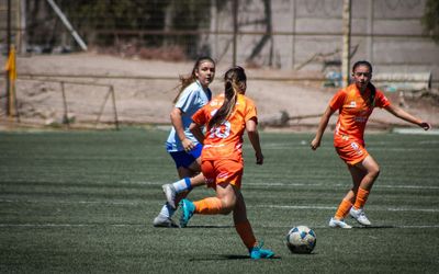 New Crisis Management Model for Professional Soccer