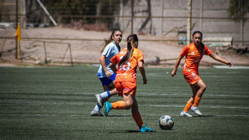 New Crisis Management Model for Professional Soccer