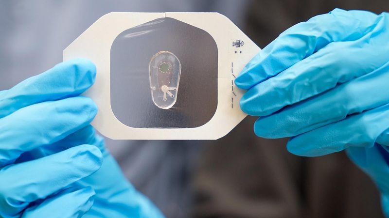 The team’s sensor is capable of measuring and reporting the chloride ion levels of a subject's sweat in real time with high precision and efficiency. Credit: Caleb Craig/Penn State. All Rights Reserved.