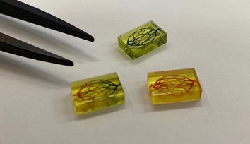 How 3D printing propels microfluidics at IMSEAM at the University of Heidelberg