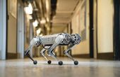 Mini cheetah is the first four-legged robot to do a backflip