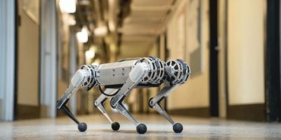 MIT’s new mini cheetah robot is springy, light on its feet, and weighs in at just 20 pounds.  Photo: Bryce Vickmark