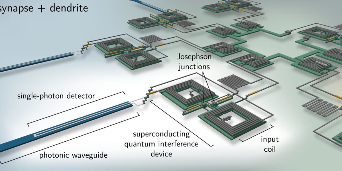 Artistic rendering of how superconducting circuits that mimic synapses (connections between neurons in the brain) might be used to create artificial optoelectronic neurons of the future.  Credit: J. Chiles and J. Shainline/NIST