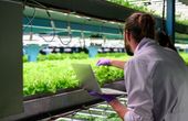 Integrated Photonics for AgriFood: A Roadmap for Sustainable Transformation