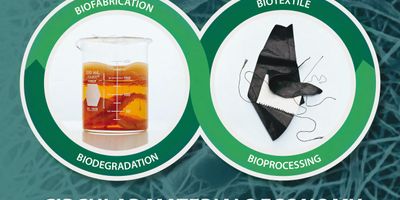 Microbial biofabrication and green processing inspired by cultural heritage offer a path to a circular material economy. PHOTO CREDIT: THEANNE SCHIROS/COLUMBIA ENGINEERING