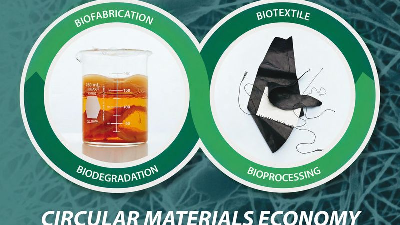 Microbial biofabrication and green processing inspired by cultural heritage offer a path to a circular material economy. PHOTO CREDIT: THEANNE SCHIROS/COLUMBIA ENGINEERING