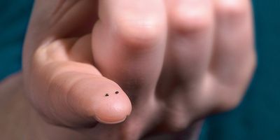 Automotive semiconductors are getting smaller and lighter. Image: Nexperia