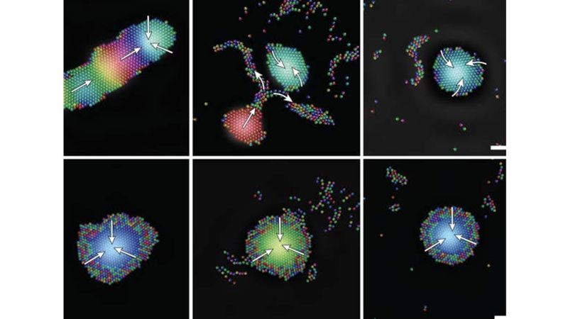 A new study led by Penn State researchers shows for the first time how sound waves could function as a means of controlling micro-sized robots. Credit: Igor Aronson / Penn State. Creative Commons