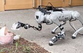 Get to know the robot dog that can clean your house and serve you soda