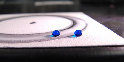 Two droplets of water repelled by an ultra-durable water-repellent coating. The droplet on the left is sitting on a surface that has been abraded by a machine. Photo: Kevin Golovin