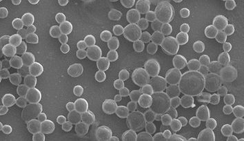 Bubble Bots: Simple Biocompatible Microrobots Autonomously Target Tumors