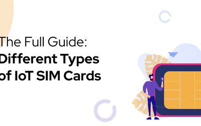 The Full Guide : Different Types of IoT SIM Cards