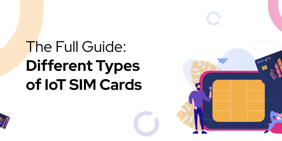 The Full Guide : Different Types of IoT SIM Cards