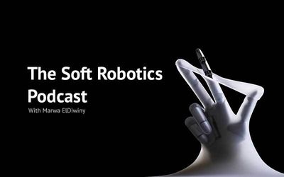 Soft Robotics With Mark Cutkosky "Gecko Climbing Robots"