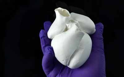 Podcast: Printing Functional Hearts & Reverse Engineering Microbes