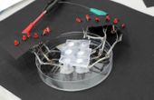 Researchers Develop Biocompatible Support Device for Artificial Organs