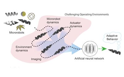 Bio-inspired deep reinforcement learning teaches these smart magnetic microbots to swim