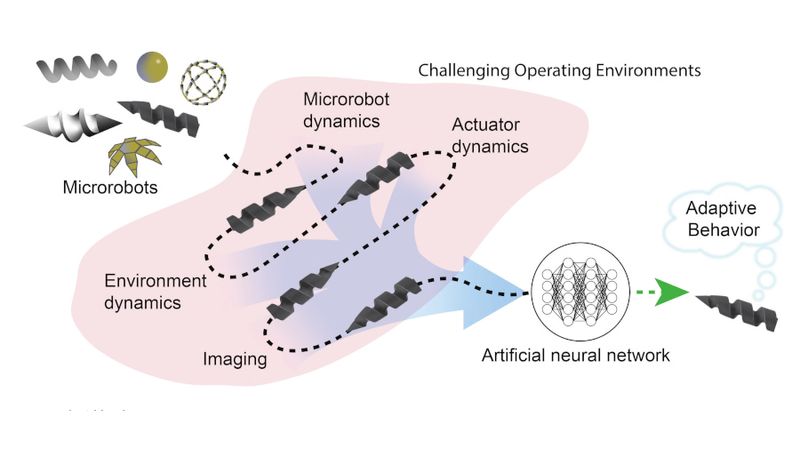 Made to ease researchers' burdens, this microrobot control system trains itself.