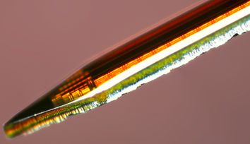 Columbia Engineers Develop Implantable Imaging Tool to Reveal Deep-Brain Neural Circuits