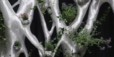 Green Wall Developed with Generative Design 