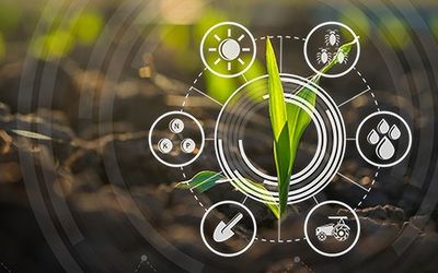 Digital Twins in the agrifood sector: a force for a sustainable future