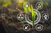 Digital Twins in the agrifood sector: a force for a sustainable future