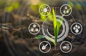 Digital Twins in the agrifood sector: a force for a sustainable future