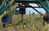 Harvesting robots could make green asparagus cheaper