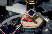 A 2D device for quantum cooling