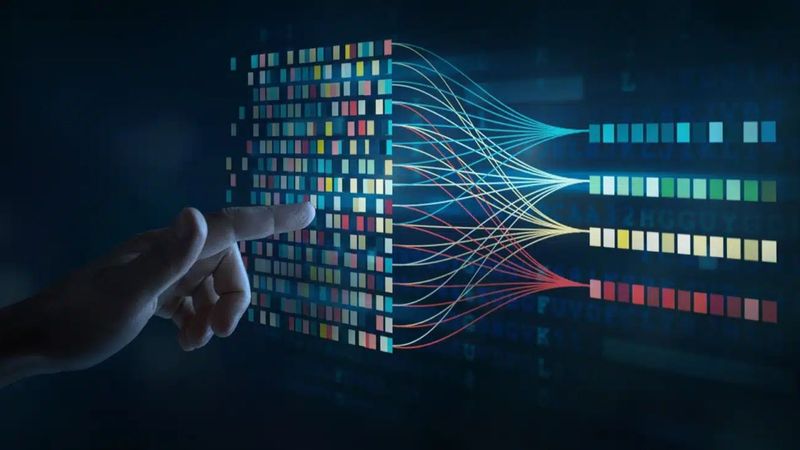 A Day in the Life of a Data Annotator: Behind Computer Vision