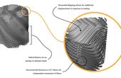 Impact Resistant Bio-Structures