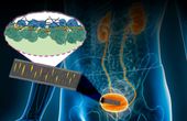 Skin-like sensor monitors internal, external body movement, electrical signals