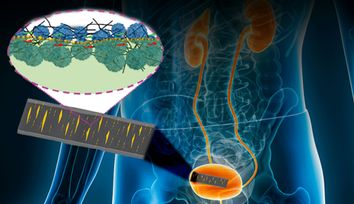 Skin-like sensor monitors internal, external body movement, electrical signals