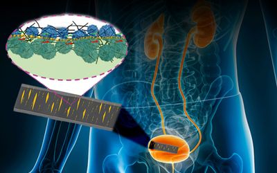Skin-like sensor monitors internal, external body movement, electrical signals