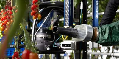 Unearthing the Potential of Precision Agriculture