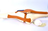 Towards more effective tendon repair with a multi-functional biomaterial