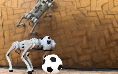 A four-legged robotic system for playing soccer on various terrains