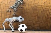 A four-legged robotic system for playing soccer on various terrains