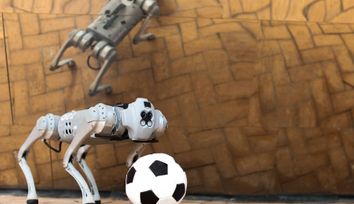 A four-legged robotic system for playing soccer on various terrains