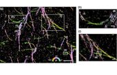 Machine learning generates pictures of proteins in 5D