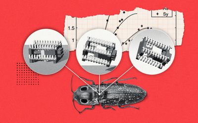 Click beetle-inspired robots jump using elastic energy