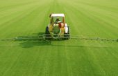 Uranium-based catalyst turns air nitrogen into ammonia