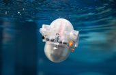 Engineers Teach AI to Navigate Ocean with Minimal Energy