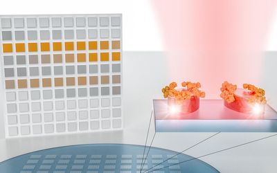 A nanotech sensor turns molecular fingerprints into bar codes