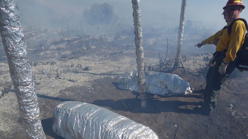 Researchers evaluated new designs for wildland fire shelters after field tests. Credit: Joseph Roise.