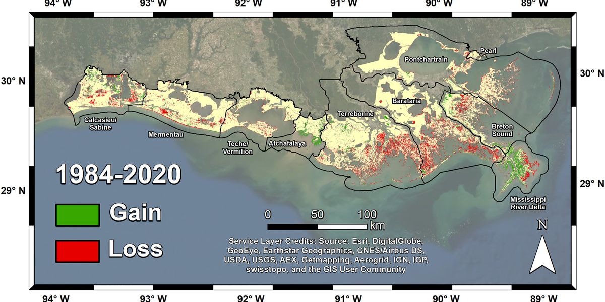 The researchers mapped land change in coastal Louisiana from 1984 to 2020. Basins that failed to build new soil, such as Terrebonne and Barataria, experienced the most land loss – more than 180 square miles (466 square kilometers). Credit: Jensen et al. Journal of Geophysical Research: Biogeosciences