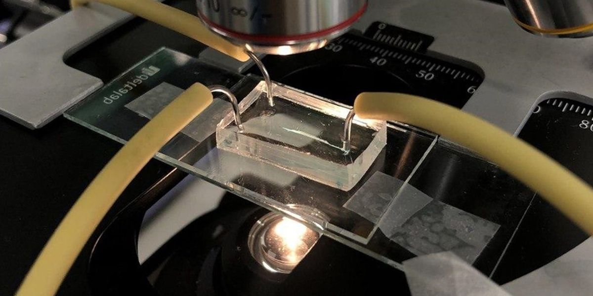 Experimental installation for MOF synthesis in a heated microfluid chip. Photo courtesy of Irina Koryakina