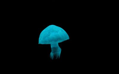 The robots are here. And they mean business.